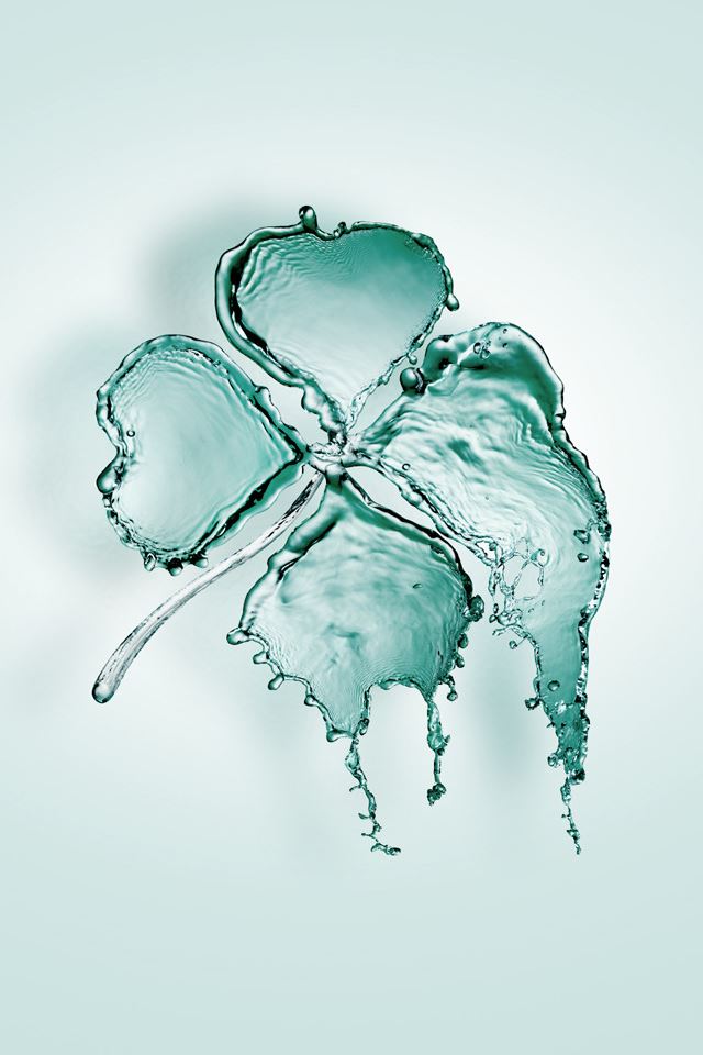 640x960 Water Clover Digital Art - droplet iPhone 4s Wallpaper