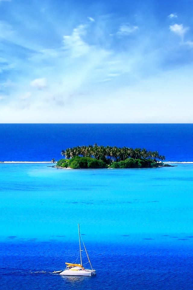 640x960 Island - plant iPhone 4s Wallpaper