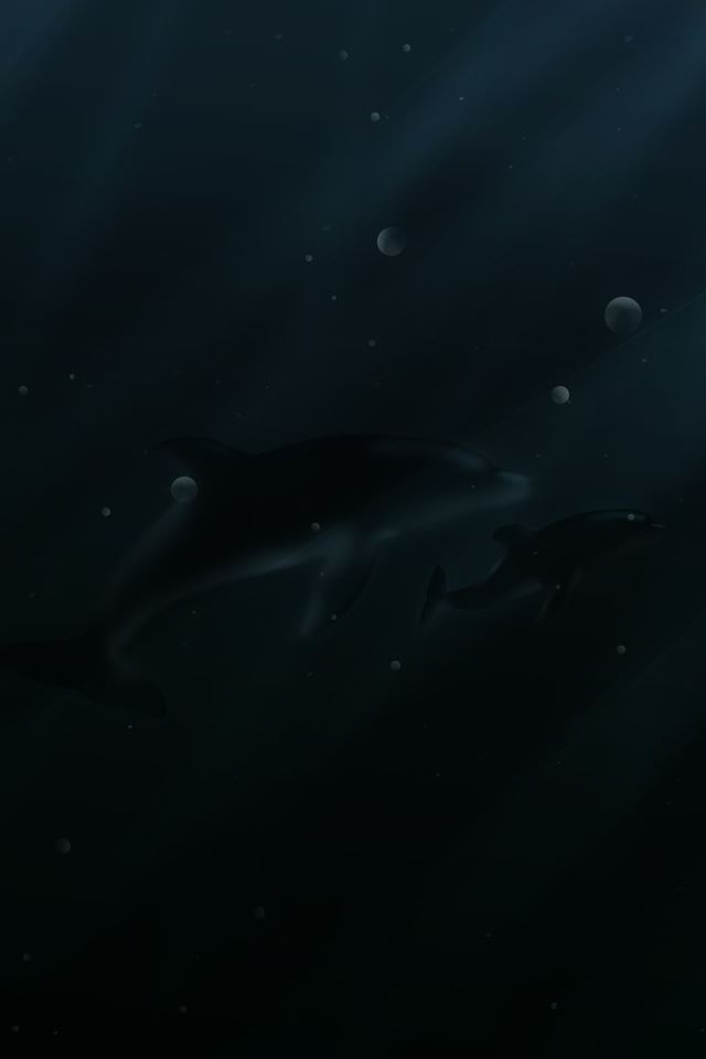 640x960 Dolphins In The Dark Waters Digital Art - dark (black) iPhone 4s Wallpaper