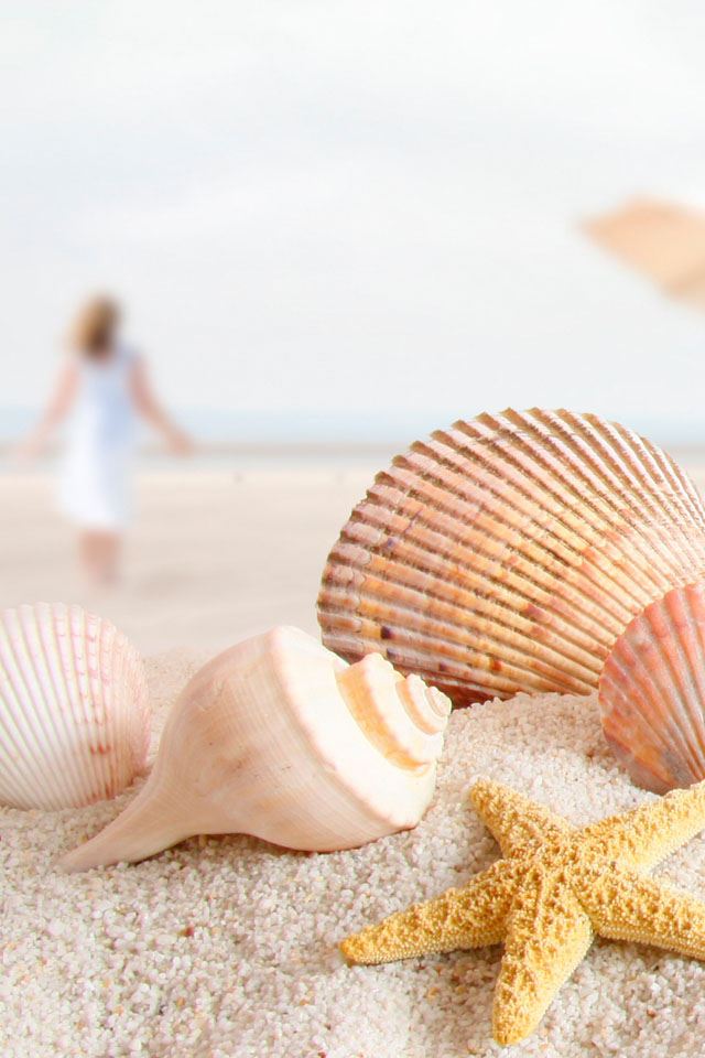 640x960 Starfish - starfish iPhone 4s Wallpaper