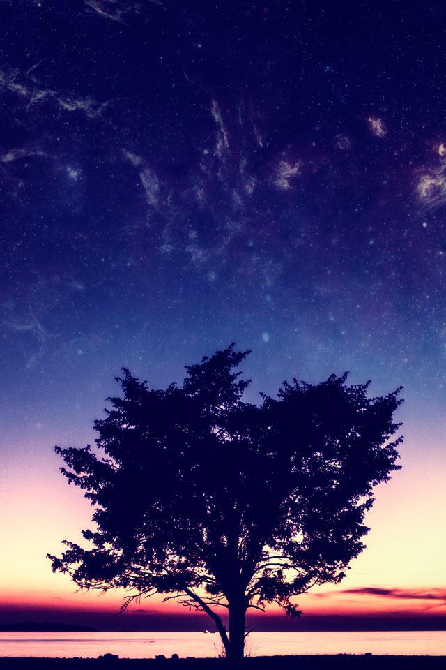640x960 Sunset   - sunset iPhone 4s Wallpaper