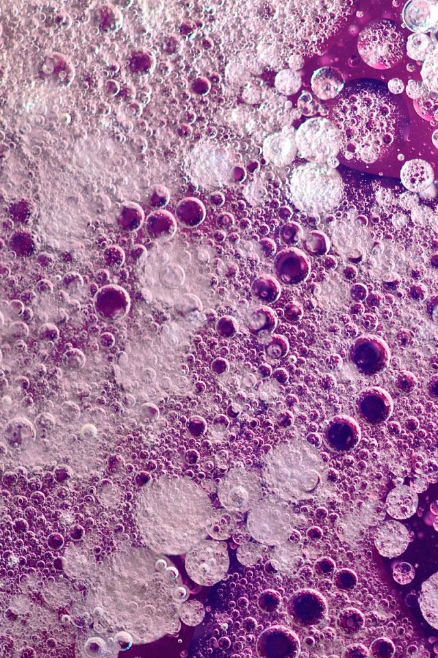 640x960 Frozen  - frozen iPhone 4s Wallpaper