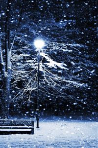 Snow Night Park wallpaper