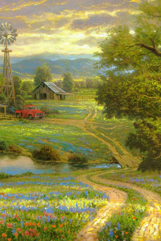 640x957 Country road - flower iPhone 4s Wallpaper