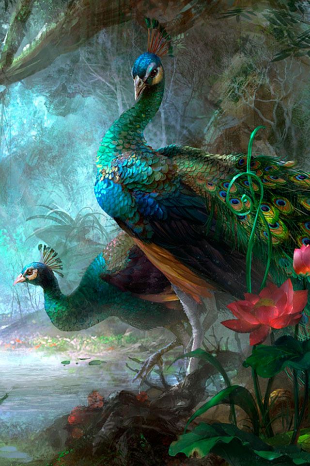 640x960 Painted Peacocks  - gray iPhone 4s Wallpaper