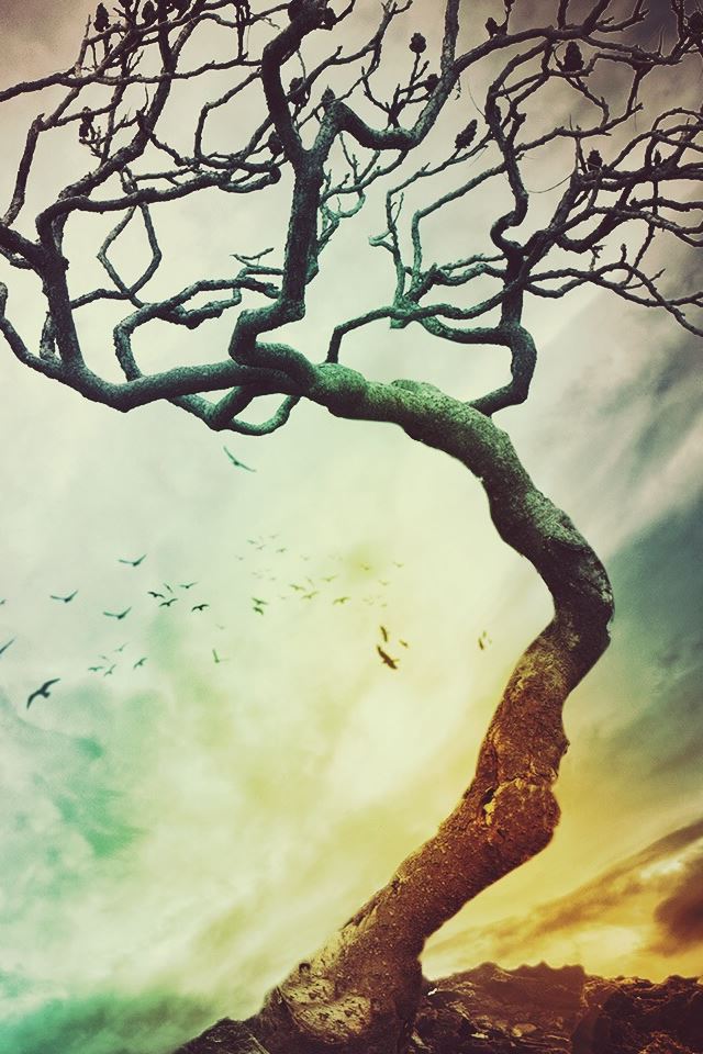 640x960 Wither Tree Branch - art iPhone 4s Wallpaper