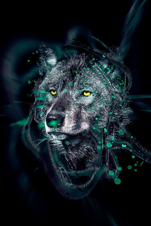 640x960 Wolf - animal iPhone 4s Wallpaper