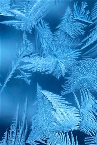 Frost  wallpaper