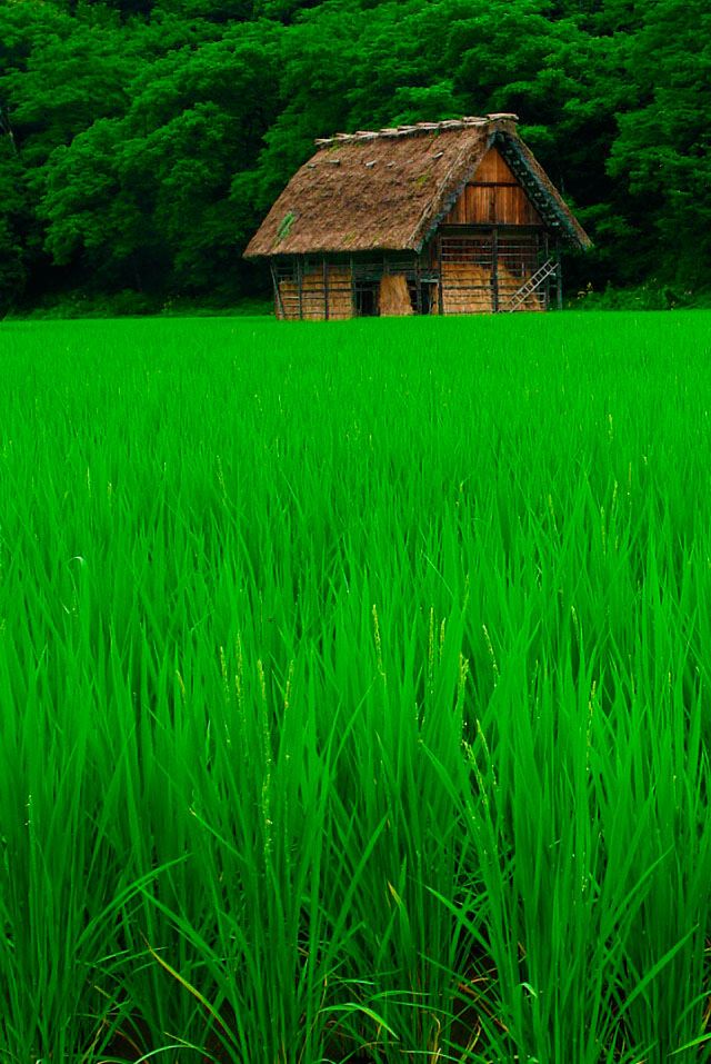 640x957 Shirakawa go  - background iPhone 4s Wallpaper