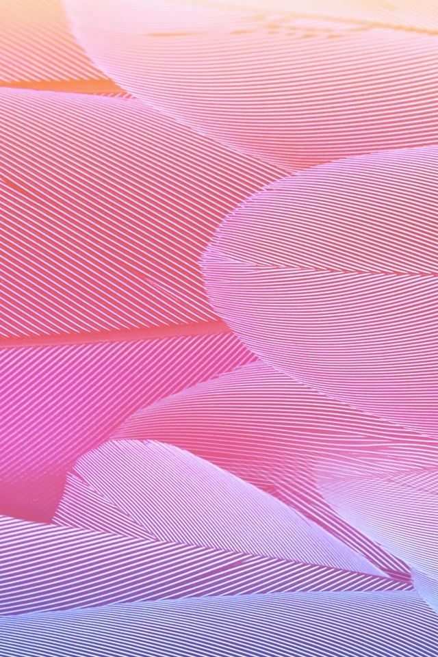 640x960 Abstract Pink Feather Texture - feather iPhone 4s Wallpaper
