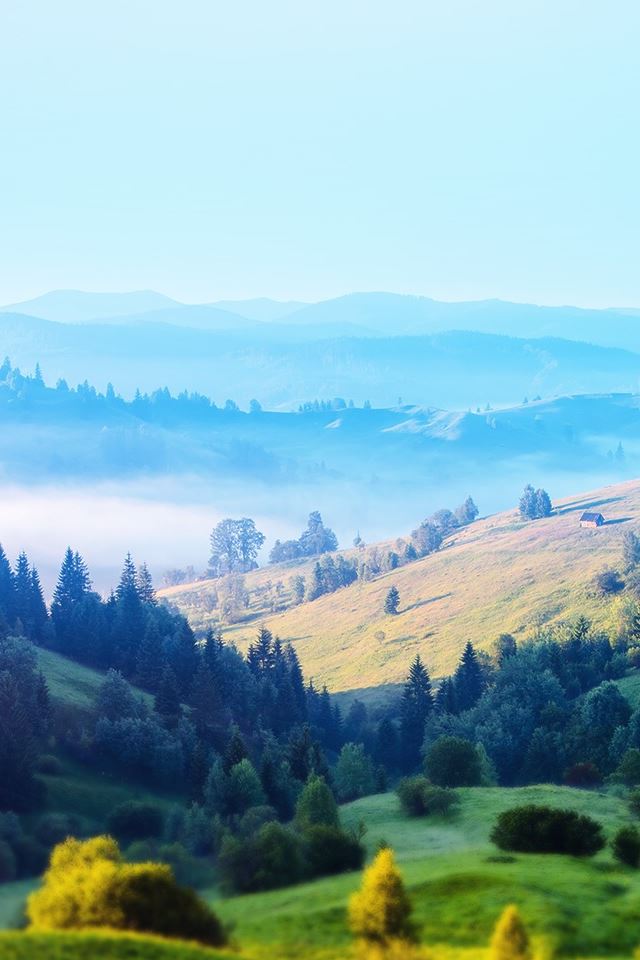 640x960 Pure Mountain Forest - forest iPhone 4s Wallpaper