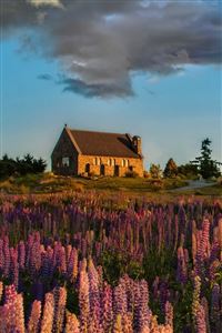 Lavender Garden House wallpaper