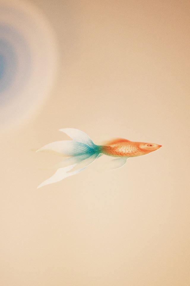 640x960 The Fish Art Painting - cyan iPhone 4s Wallpaper