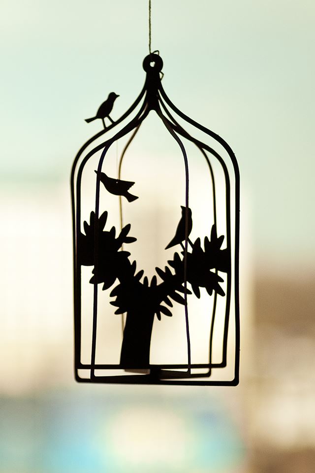 640x960 Caged Bird Drawn - bird iPhone 4s Wallpaper