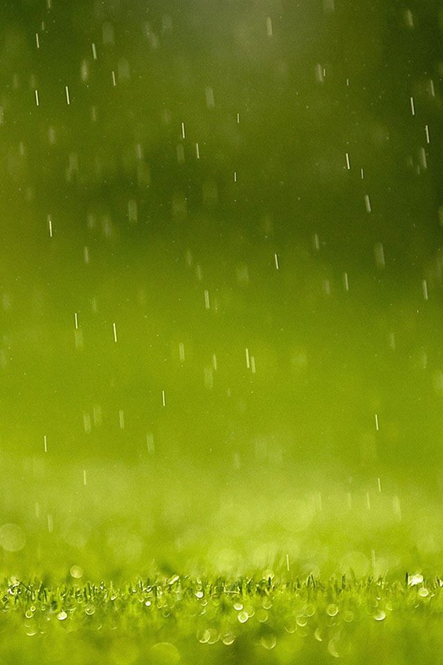 640x960 Green Field Rain Nature - brown iPhone 4s Wallpaper