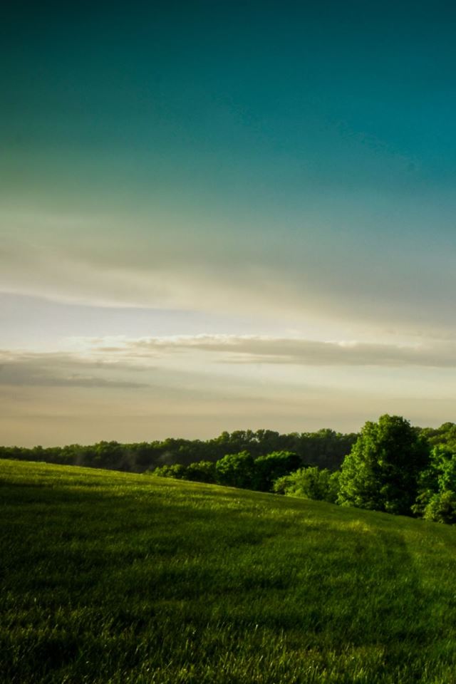 640x960 Hill Country Forest - hill iPhone 4s Wallpaper