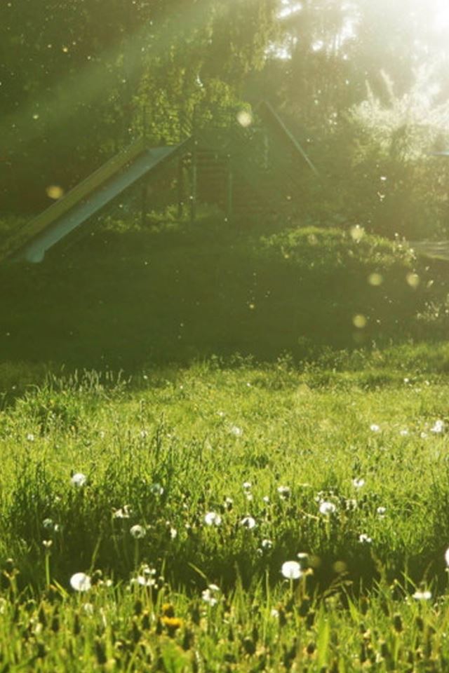 640x960 Grassland Under Sunlight - grassland iPhone 4s Wallpaper