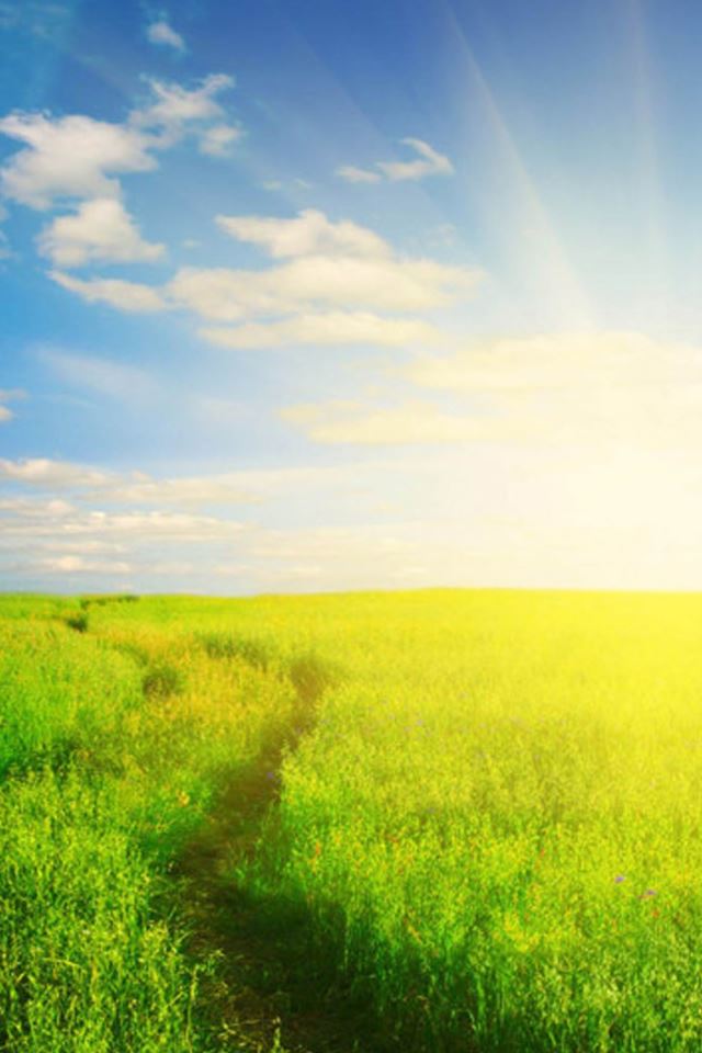 640x960 Nature Sunshine Green Field - clouds iPhone 4s Wallpaper