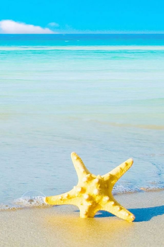 640x960 Starfish Beach - pure iPhone 4s Wallpaper