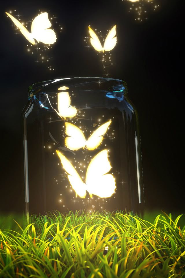 640x960 Fantasy Butterfly Jar - jar iPhone 4s Wallpaper