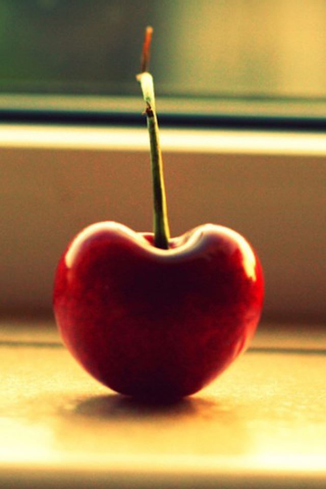 640x960 Window Lonely Cherry Macro - lonely iPhone 4s Wallpaper