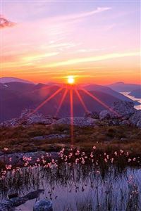 Pure Sunrise Winter Morning wallpaper