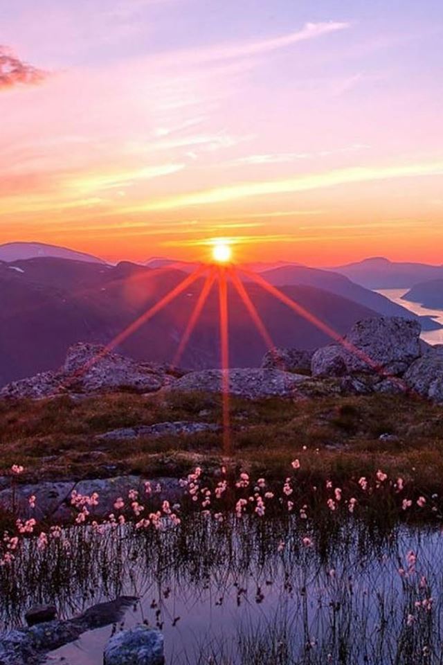 640x960 Pure Sunrise Winter Morning - sunrise iPhone 4s Wallpaper