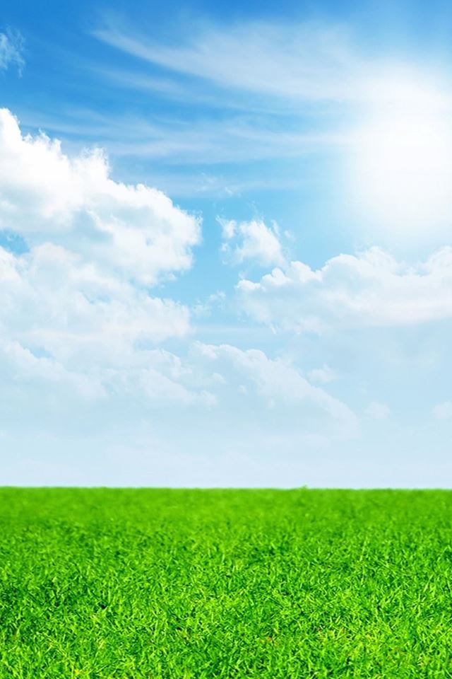640x960 Pure Green Grass Blue Sky - landscape iPhone 4s Wallpaper