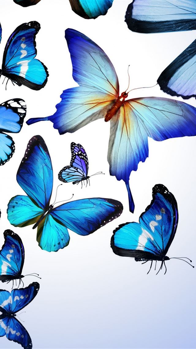 640x960 Butterfly Colorful Blue Drawing Art Beautiful - art iPhone 4s Wallpaper