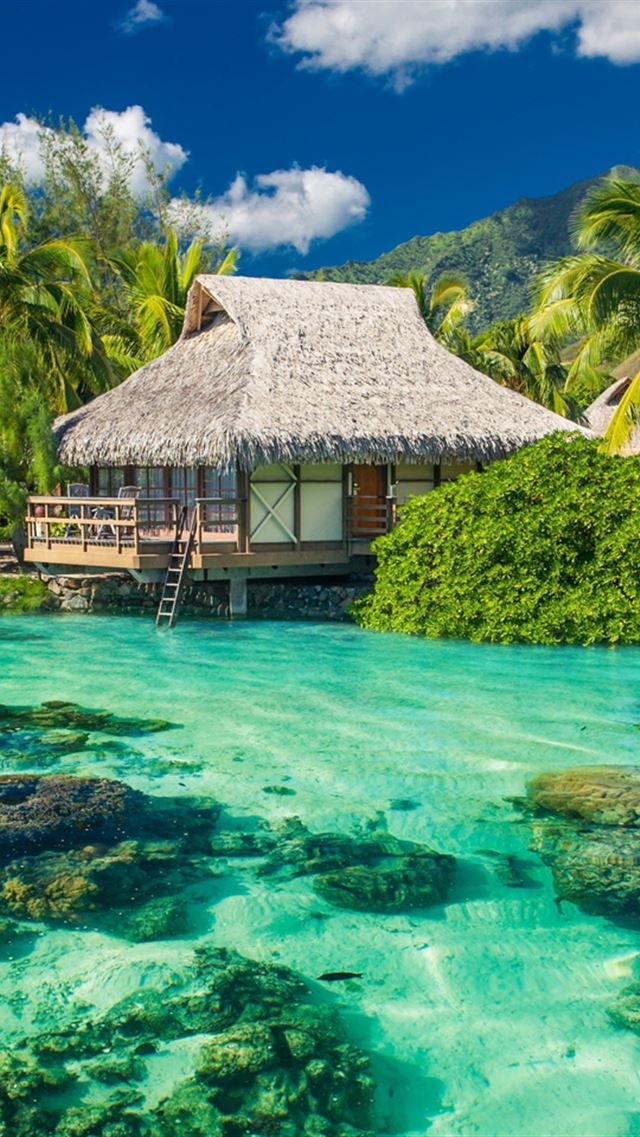 640x960 Tropics Palm Trees Ocean Vacation Shore - tropical iPhone 4s Wallpaper
