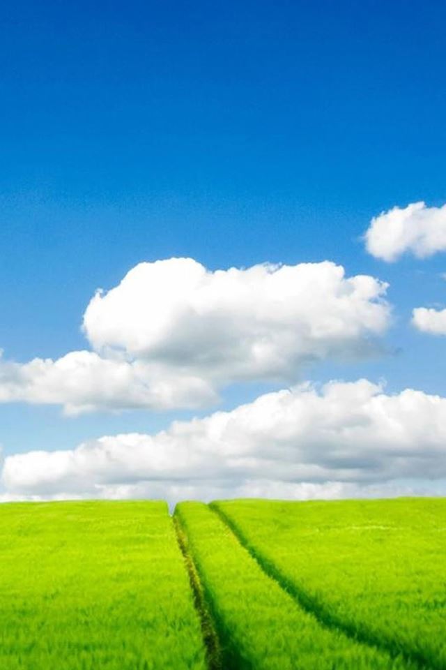 Nature Green Field Cloudy Sky iPhone 4s Wallpapers Free Download