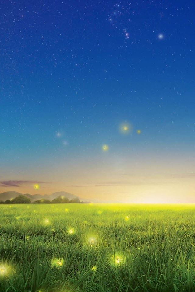 640x960 Fireflies Country Field - brown iPhone 4s Wallpaper