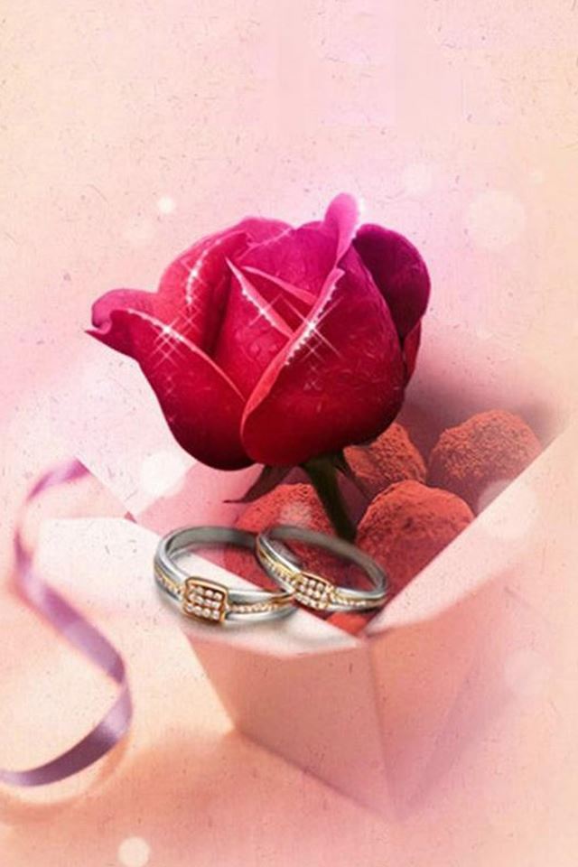 640x960 Romance Love Rose And Ring - box iPhone 4s Wallpaper