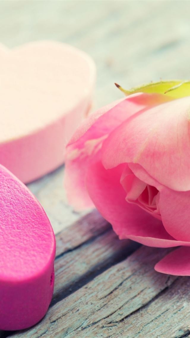 640x960 Love Heart Flower Tenderness Pink - romance iPhone 4s Wallpaper