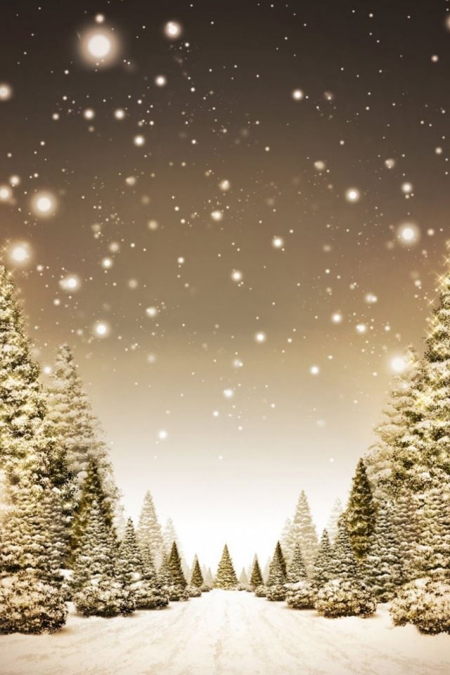 Winter Forest Path iPhone 4s Wallpapers Free Download