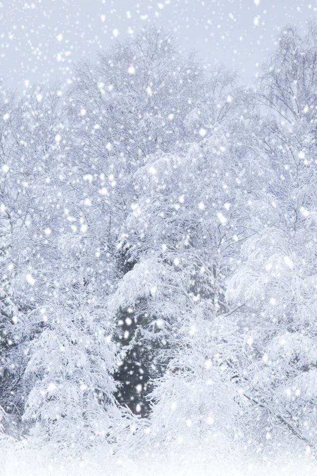 640x960 Nature Heavy Snow Forest - snowflake iPhone 4s Wallpaper