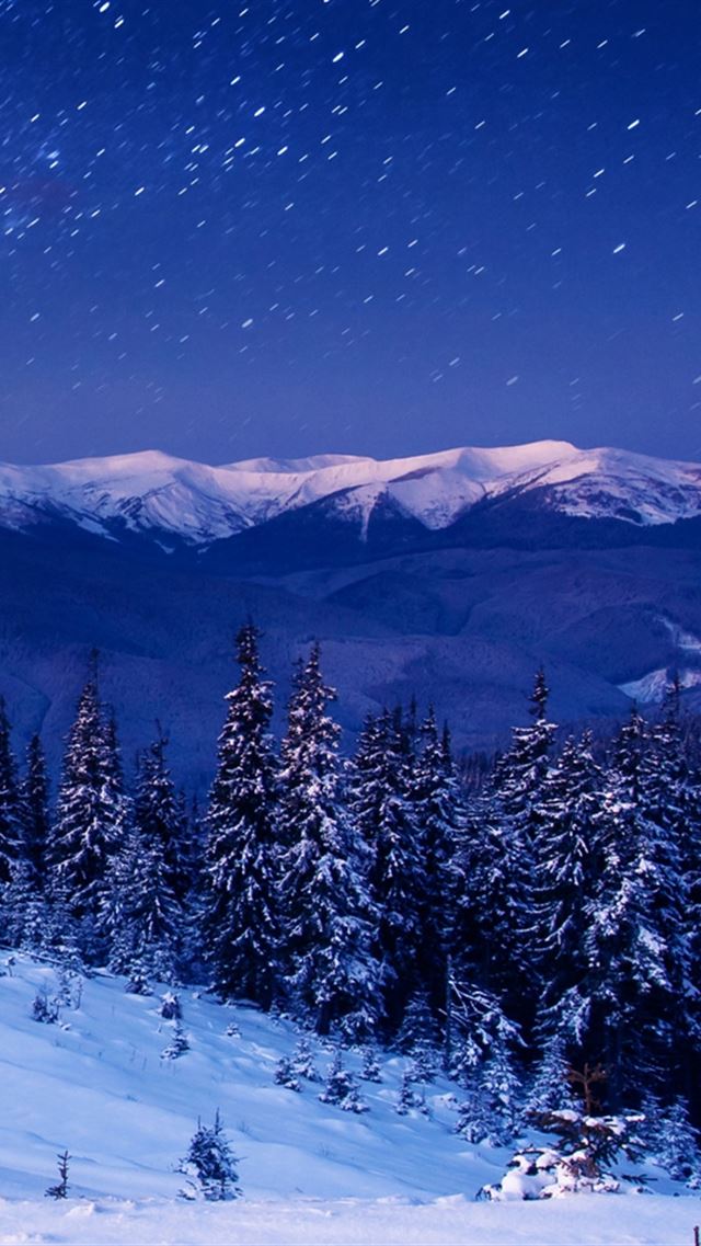 640x960 Star Forest Night Home Mountains Trees - nature iPhone 4s Wallpaper