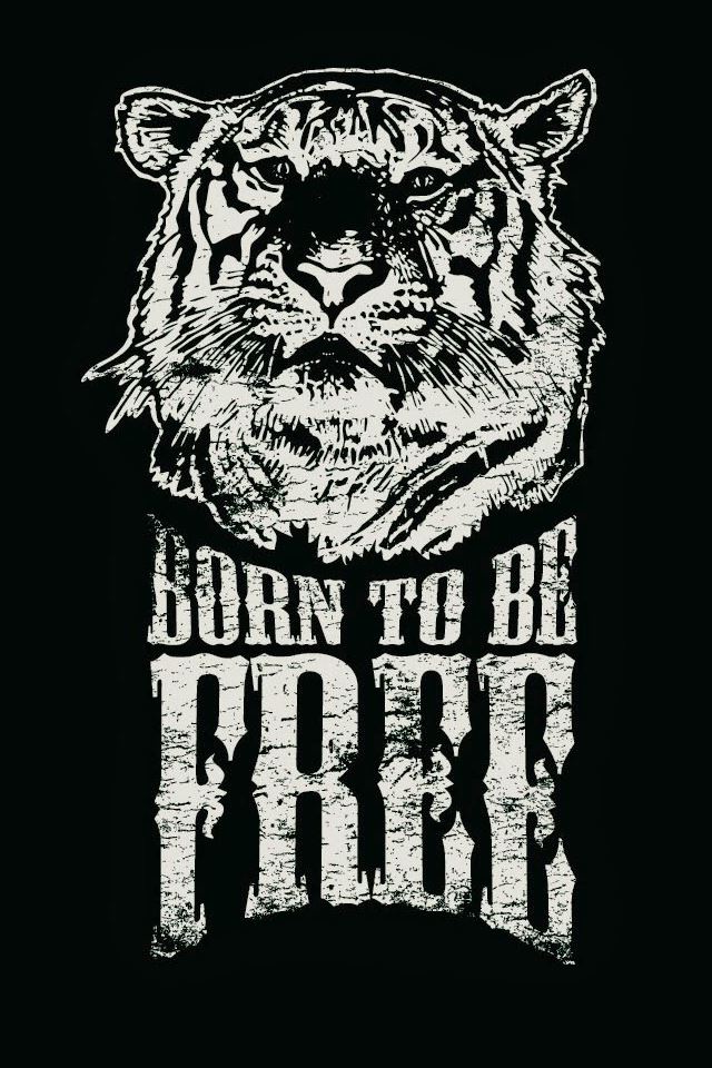 640x960 Born To Be Free Tiger Illustration  - art iPhone 4s Wallpaper
