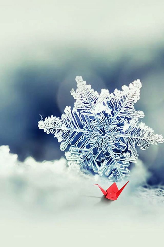 640x960 Macro Snowflake And Little Red Paper Crane - snowflake iPhone 4s Wallpaper