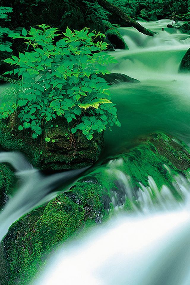 640x960 Nature Jungle Waterfall Landscape  - jungle iPhone 4s Wallpaper