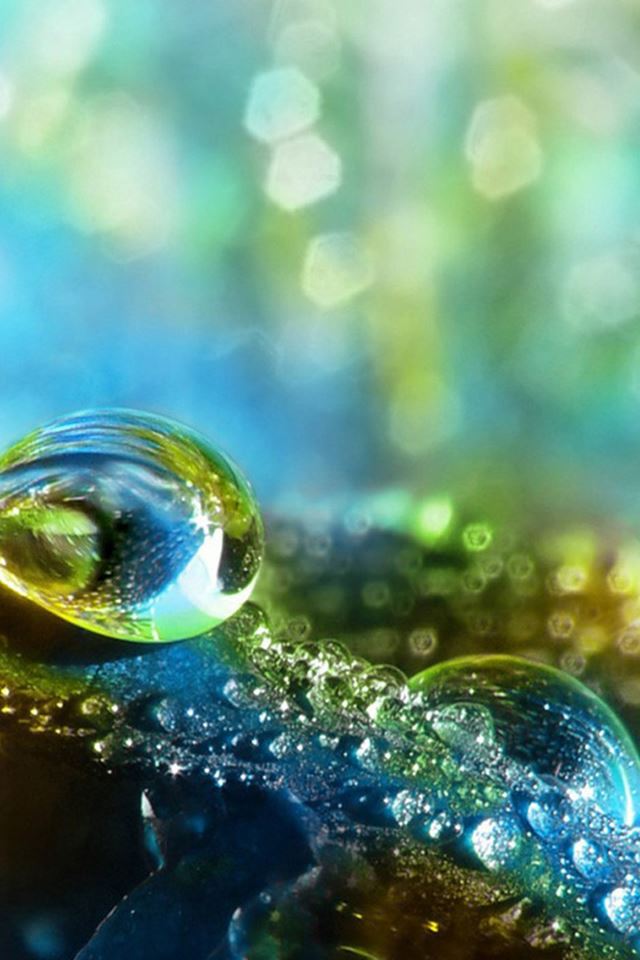 640x960 Dreamy Droplet Macro - droplet iPhone 4s Wallpaper