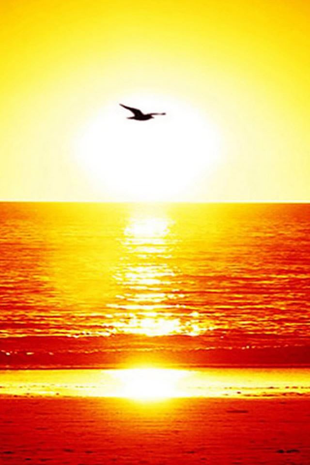 640x960 Golden Sunset Over Sea Beach - wave iPhone 4s Wallpaper