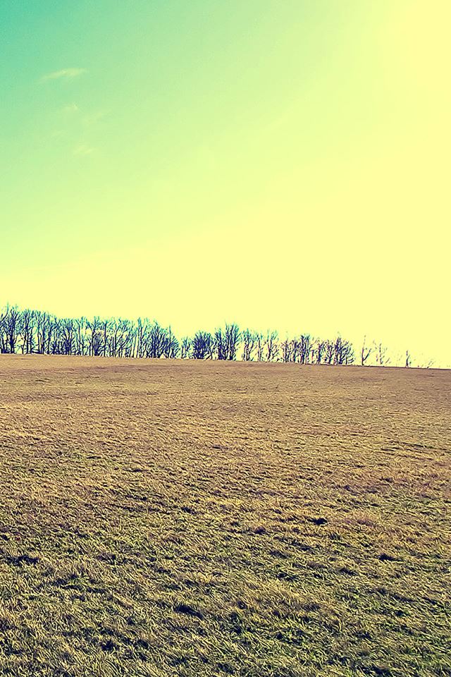 640x960 Nature Vast Wild Wasteland - wild iPhone 4s Wallpaper