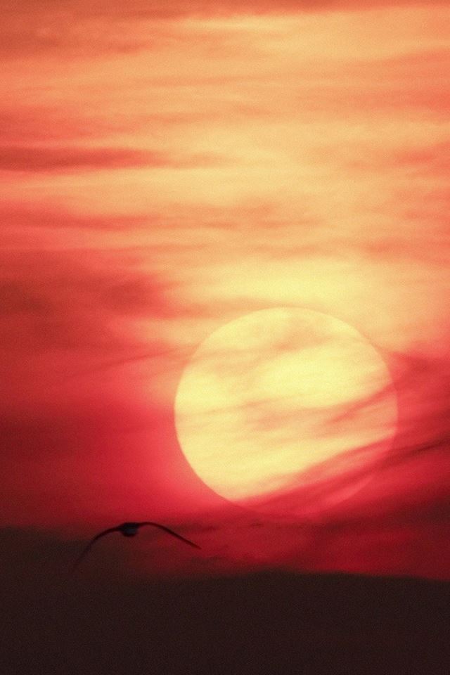 640x960 Artistic Red Sunset Desert - artistic iPhone 4s Wallpaper