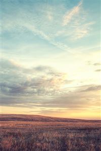 Nature Wild Grassland Skyline wallpaper