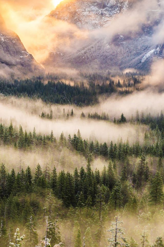 640x960 Nature Foggy Forest Mountains Landscape - brown iPhone 4s Wallpaper