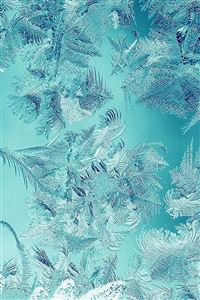 Abstract Icy Snowflake Texture Background wallpaper