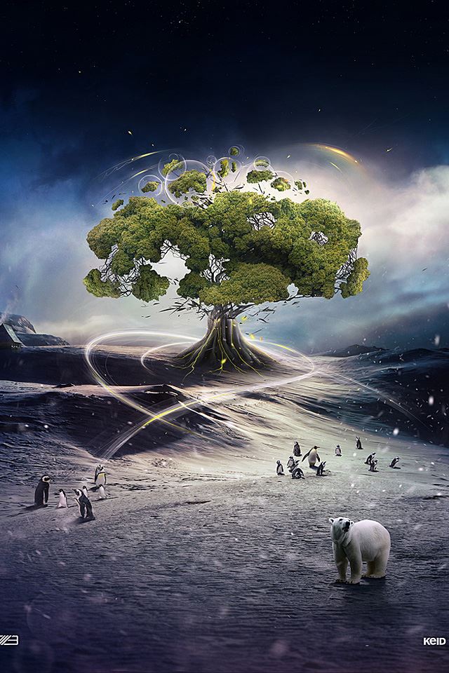640x960 Tree of Life - trees iPhone 4s Wallpaper