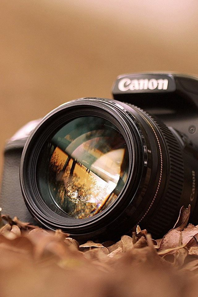 640x960 Canon Camera Macro Fall Leaves - macro iPhone 4s Wallpaper
