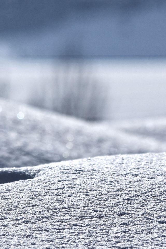 640x960 Nature Winter Field In My Backyard - snow iPhone 4s Wallpaper